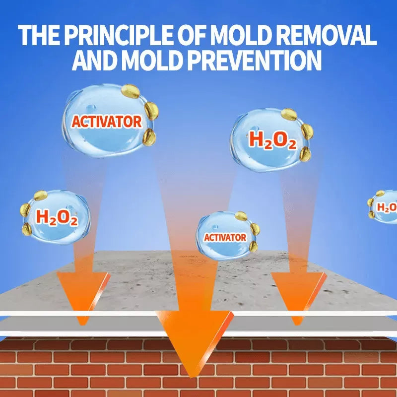 Multipurpose Mould Removal Spray 240ml (Buy1 Get1 Free🔥)