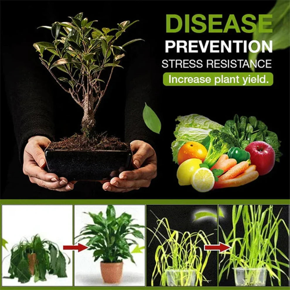 Treasure Premium Soil Activator 200gm (Pack of 2)