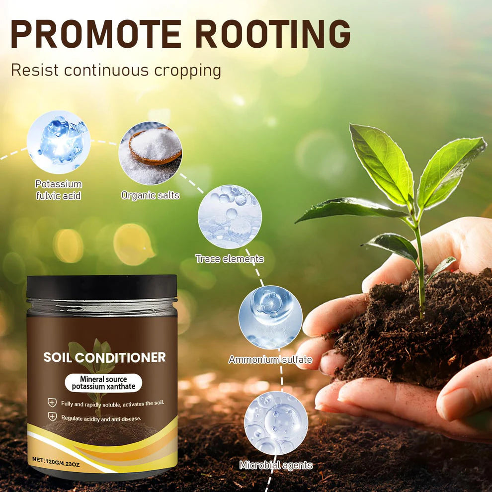 Treasure Premium Soil Activator 200gm (Pack of 2)